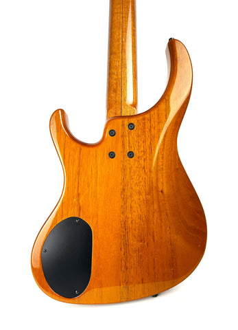 Modulus Graphite Genesis 5st.