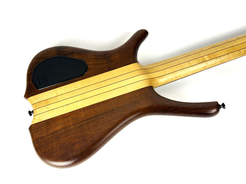 Warwick Infinity 5st.