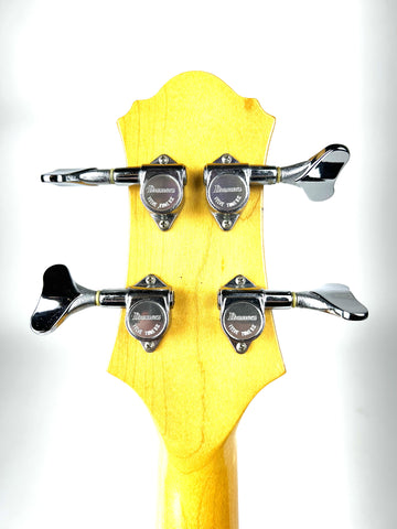Ibanez Roadstar II