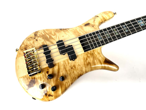Spector Euro CST 5st.